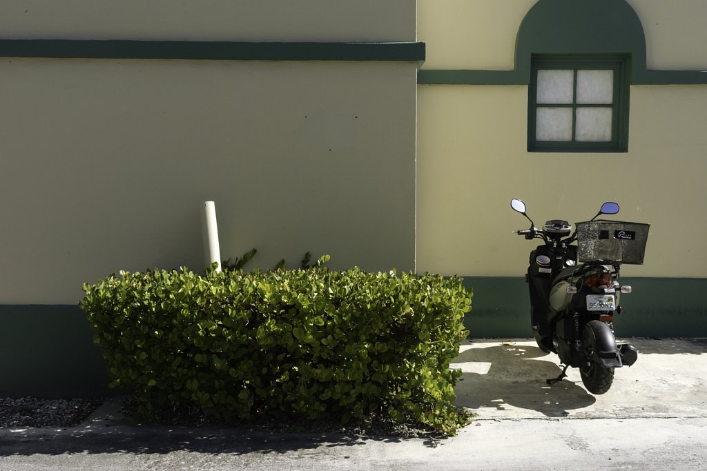 Motorcycle and Shrub